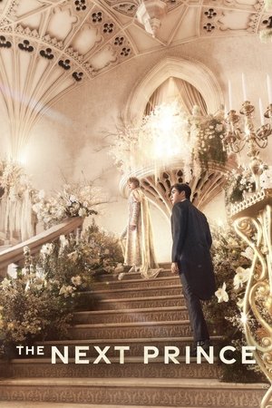 ดูซีรี่ย์ The Next Prince (2025) ข้ามฟ้าเคียงเธอ